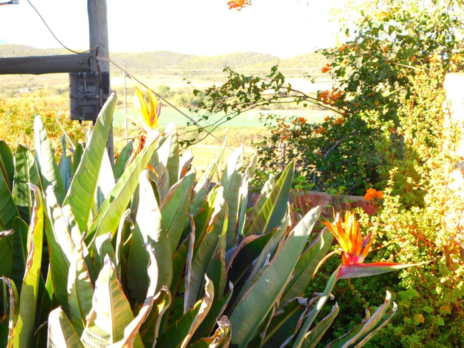 De Rusty Farm Lägenhet Exteriör bild